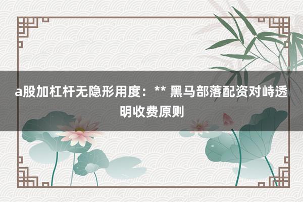 a股加杠杆无隐形用度：** 黑马部落配资对峙透明收费原则