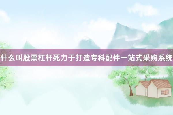 什么叫股票杠杆死力于打造专科配件一站式采购系统