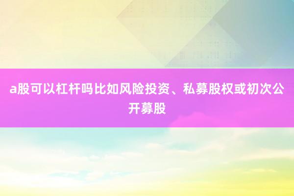 a股可以杠杆吗比如风险投资、私募股权或初次公开募股