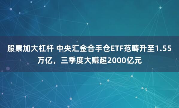 股票加大杠杆 中央汇金合手仓ETF范畴升至1.55万亿,三季度大赚超2000亿元