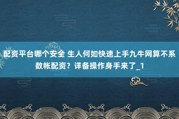 配资平台哪个安全 生人何如快速上手九牛网算不系数帐配资？详备操作身手来了_1